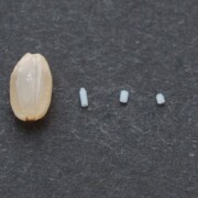 Here are some examples of Teflon® (PTFE) micro-processed parts compared to the size of Genmai's rice grain.