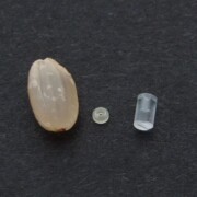 Here are some examples of ULTEM® (PEI) and polycarbonate (PC) micro-processed parts compared to the size of Genmai's rice grain