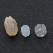 Here are some examples of Rexolite® micro-processed parts compared to the size of Genmai's rice grain.